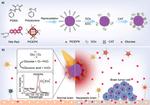 Near-Infrared Optical Transducer for Dynamic Imaging of Cerebrospinal Fluid Glucose in Brain Tumor