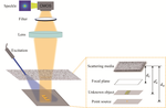 Spectra-separated depth-of-field extended fluorescence imaging through scattering media using speckle deconvolution